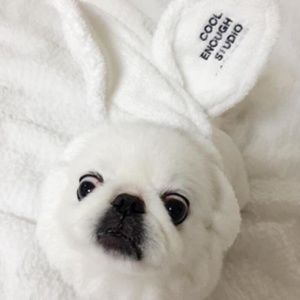 PINK & WHITE Bunny Ears Plush Bath Hairband